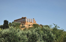 Panormus Autoservizi9