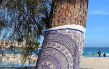 Panormus Autoservizi4