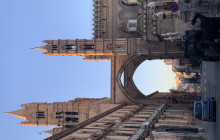 Panormus Autoservizi10