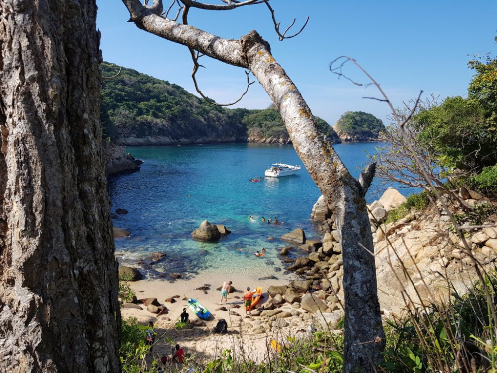 La Roqueta Island Hiking and High Cliff Divers Exhibition