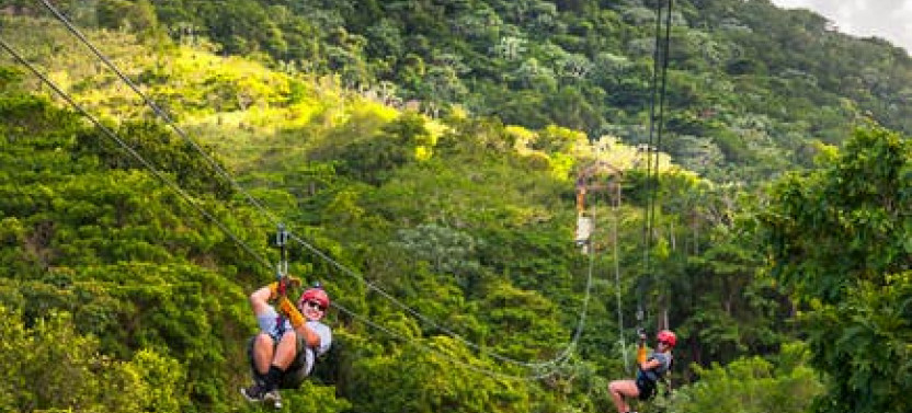 Zip Line & Monkeyland Adventure from La Romana