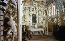Panormus Autoservizi6