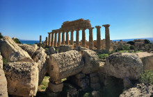 Panormus Autoservizi3