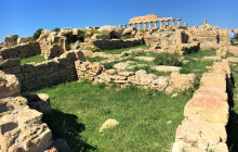 Panormus Autoservizi6