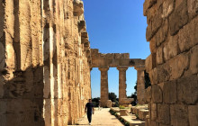 Panormus Autoservizi6