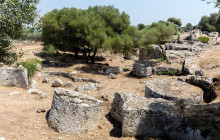 Panormus Autoservizi16