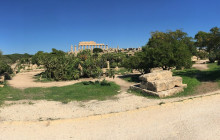 Panormus Autoservizi17