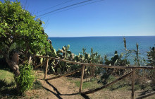 Panormus Autoservizi18