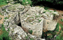 Panormus Autoservizi23