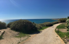 Panormus Autoservizi24