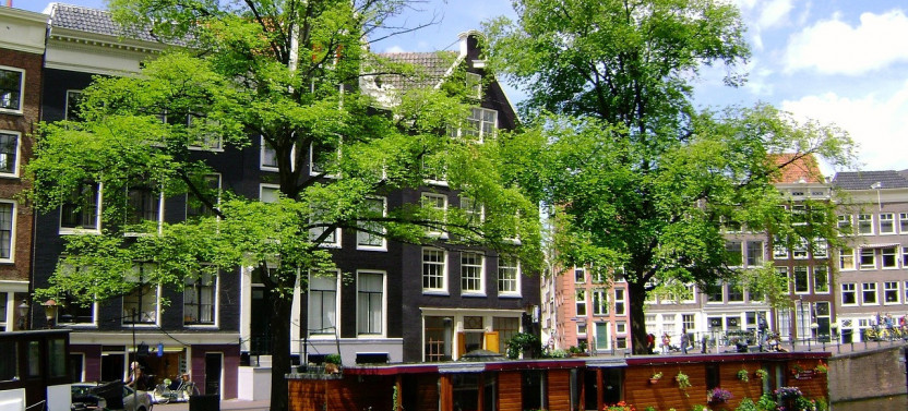 Welcome to Amsterdam: Private Half-Day Walking Tour