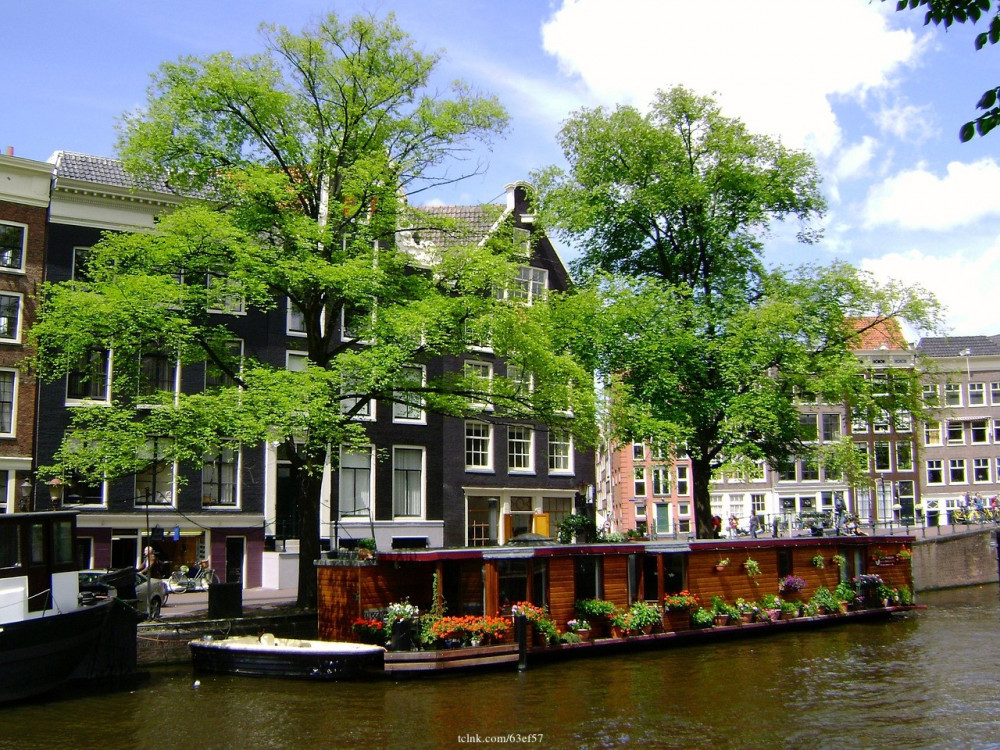 Welcome to Amsterdam: Private Half-Day Walking Tour