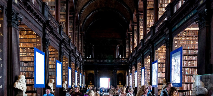 The Best of Dublin including Trinity College: Private Tour