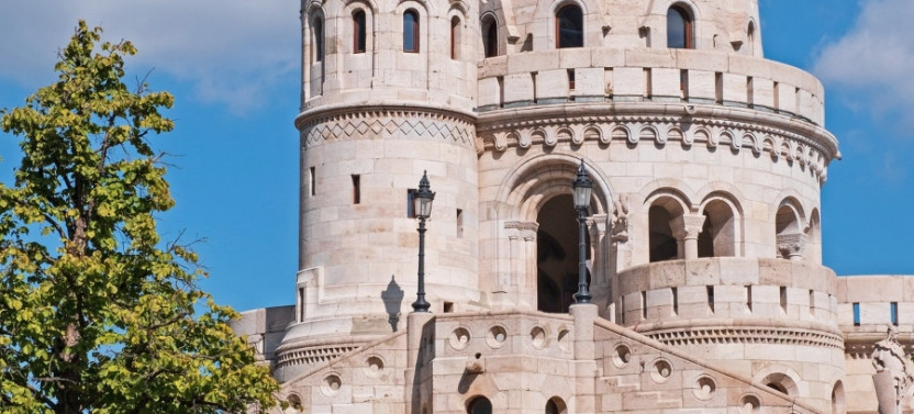 Buda Castle District: Private Tour including Gellért Hill