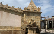 Panormus Autoservizi15