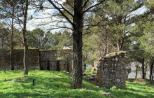 Panormus Autoservizi16