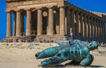 Panormus Autoservizi3