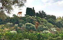 Panormus Autoservizi11