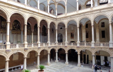 Panormus Autoservizi20
