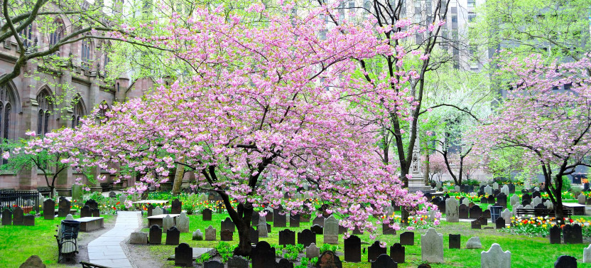 History Highlights Private NYC History Tour