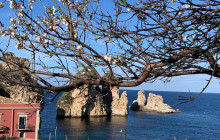 Panormus Autoservizi5
