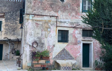 Panormus Autoservizi7