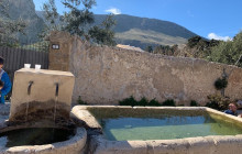 Panormus Autoservizi10