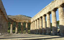 Panormus Autoservizi8