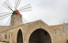 Panormus Autoservizi20