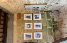 Panormus Autoservizi26