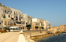 Panormus Autoservizi27