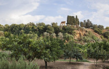 Panormus Autoservizi7