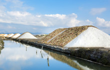 Panormus Autoservizi21
