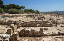 Panormus Autoservizi28