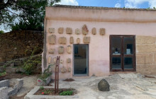 Panormus Autoservizi29
