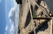 Panormus Autoservizi30