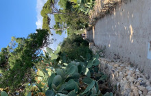 Panormus Autoservizi33