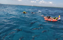 Jeep Riders Cozumel Tours11