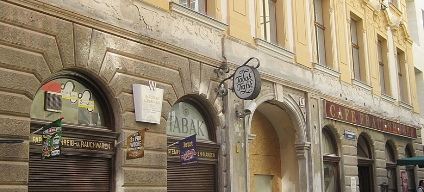 Discover The City of Music: Private Vienna's Music History Tour