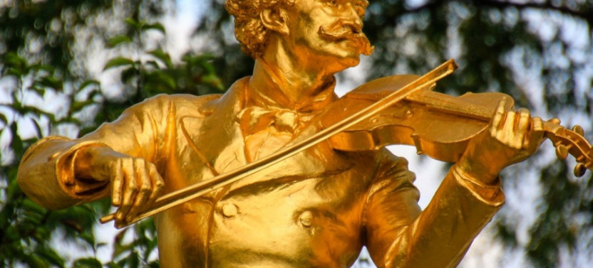 The Historic Centre of Vienna: Private Tour including Mozarthaus