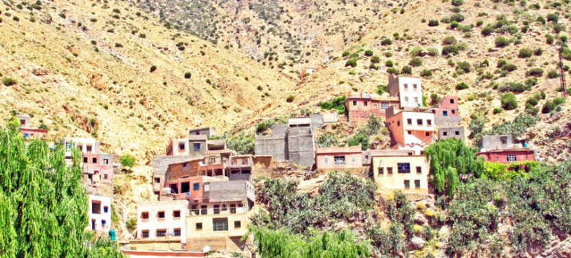 Discover Ourika Valley & High Atlas: Private Day Trip from Marrakech