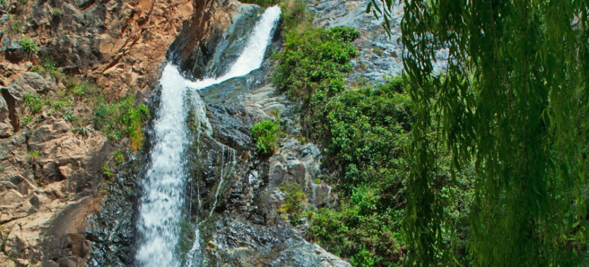 Discover Ourika Valley & High Atlas: Private Day Trip from Marrakech