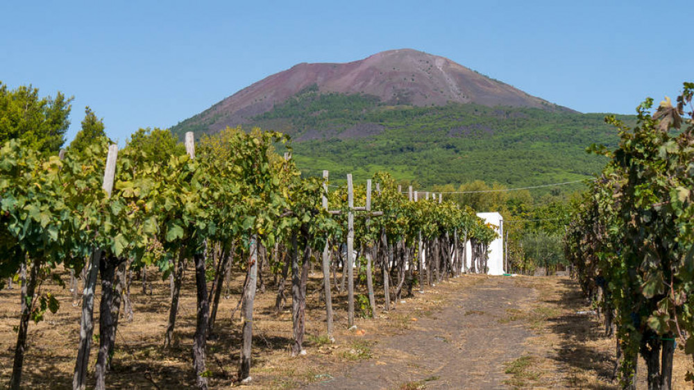 Pompeii With Private Guide & Wine Tasting