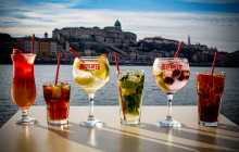 Budapest Cocktail & Folklore Cruise