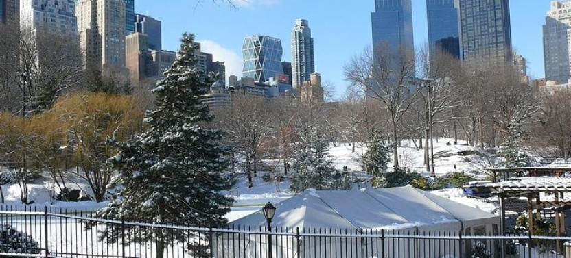 NYC Manhattan Private Custom Christmas Tour With A Local Guide