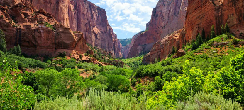 Ultimate Utah National Parks Self-Guided Driving Tour Bundle