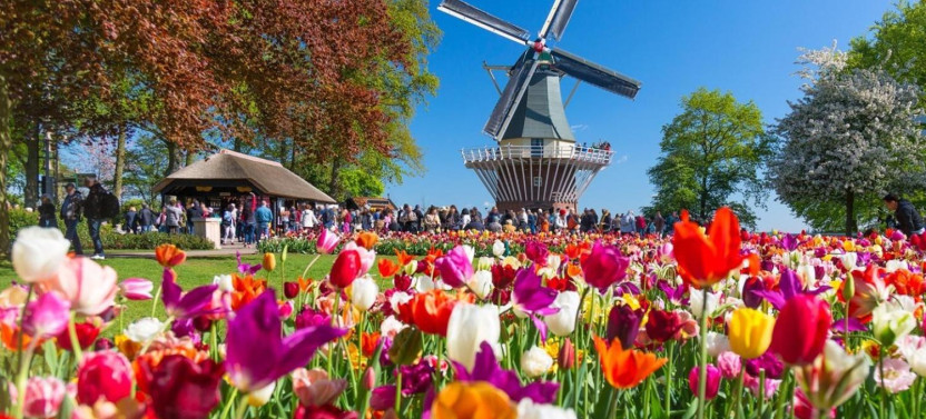 Keukenhof and Zaanse Schans Windmills Day Trip