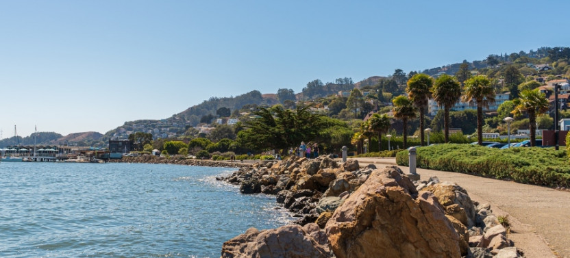 Muir Woods & Sausalito: Private Day Trip from San Francisco