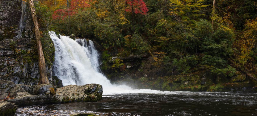 Great Smoky & Cades Cove Self-Guided Driving Tour Bundle