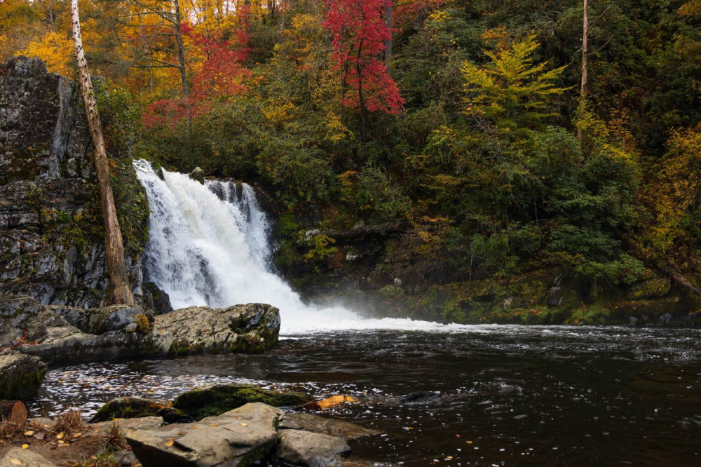 Great Smoky & Cades Cove SelfGuided Driving Tour Bundle Pigeon